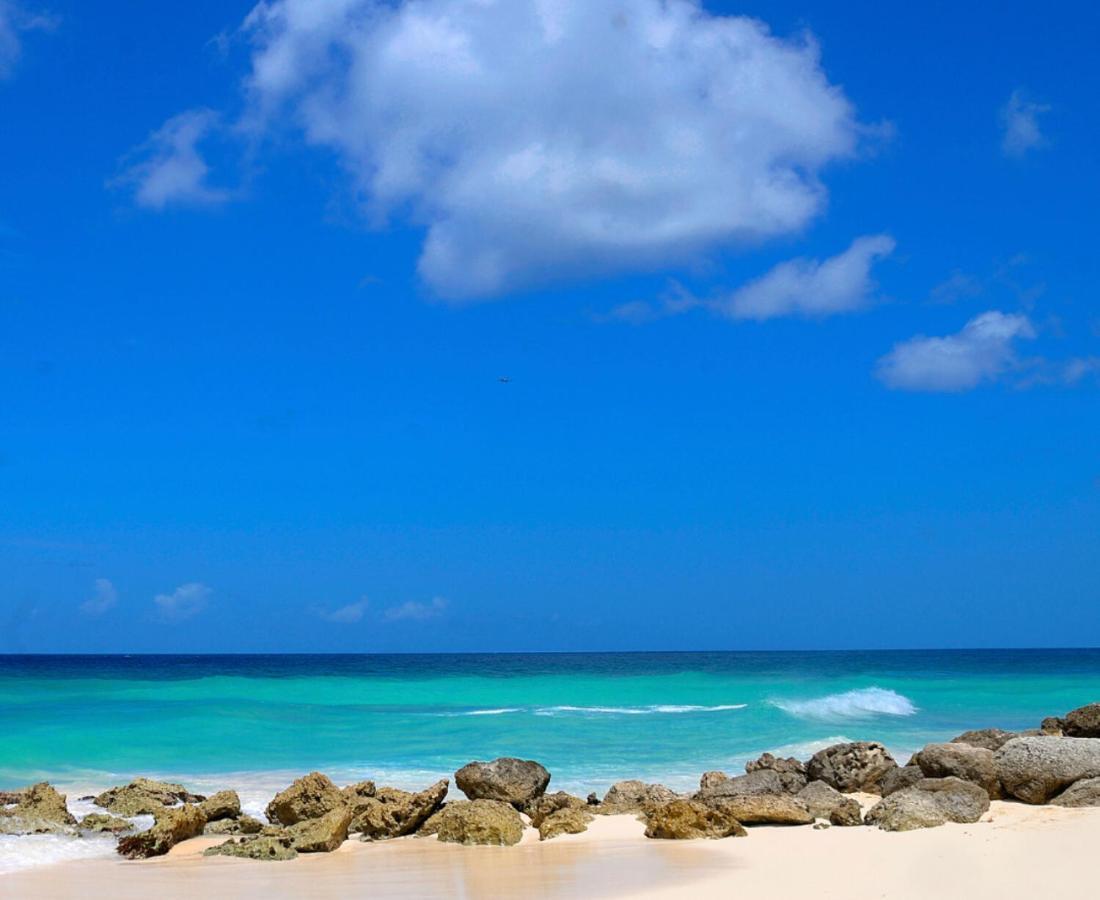 Dover Beach Hotel Christ Church Bagian luar foto