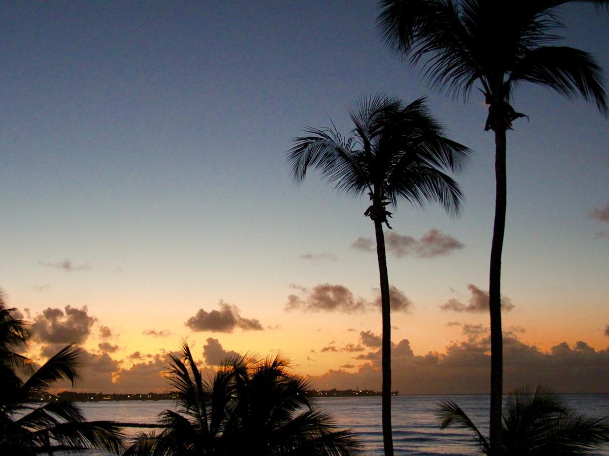 Dover Beach Hotel Christ Church Bagian luar foto